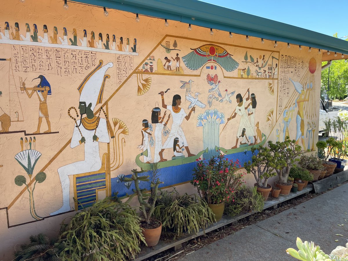 Flankbull.bsky tweet media