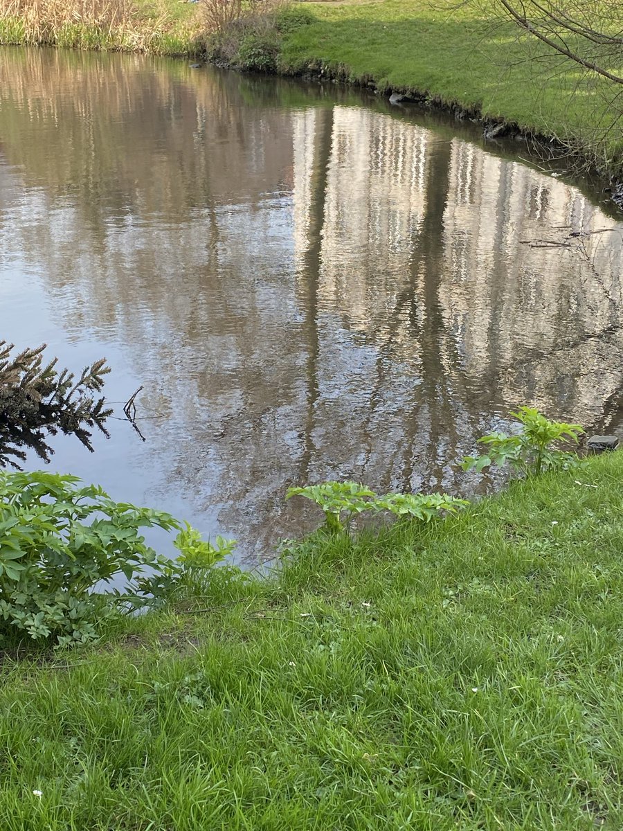 Jeannine D'hondt tweet media