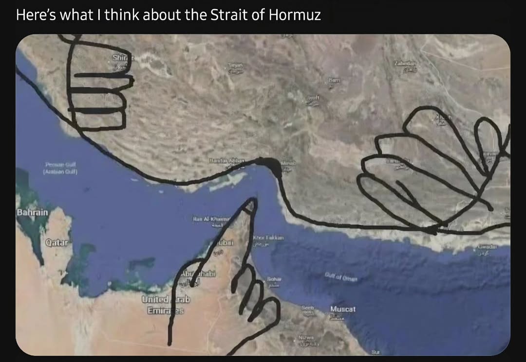 LAnDo NIFFIRG™️🇨🇦 tweet media