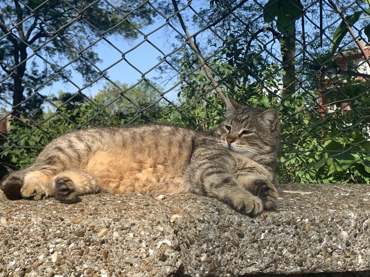 ivy⸆⸉ ོ ❤️🔥 tweet media