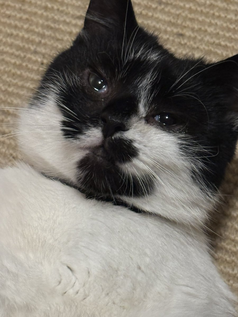 Winters 🐺👻|| Vkraine tweet media