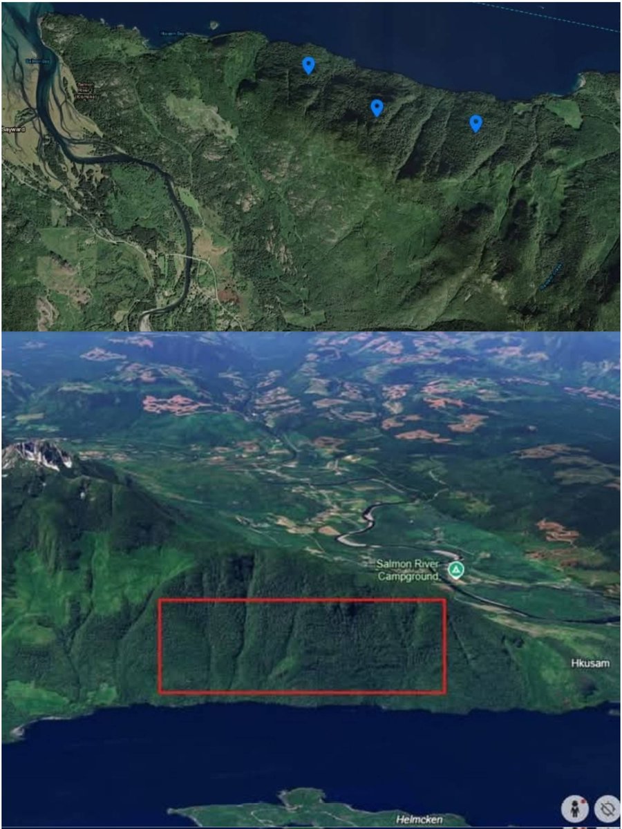 Kirk Lubimov tweet media