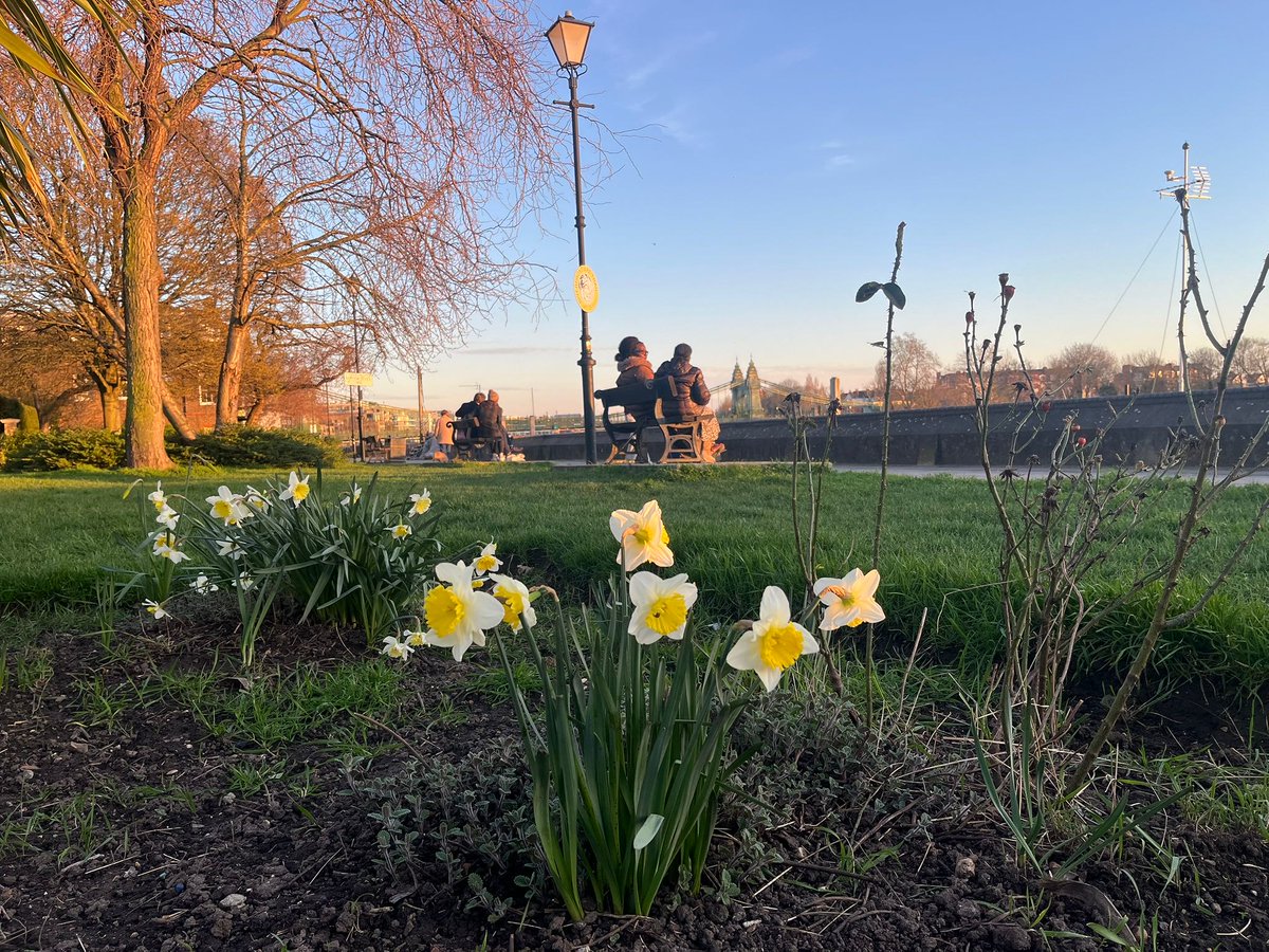 H&F Council tweet media