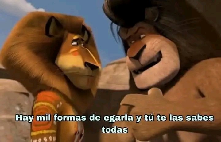 Issac Guz tweet media