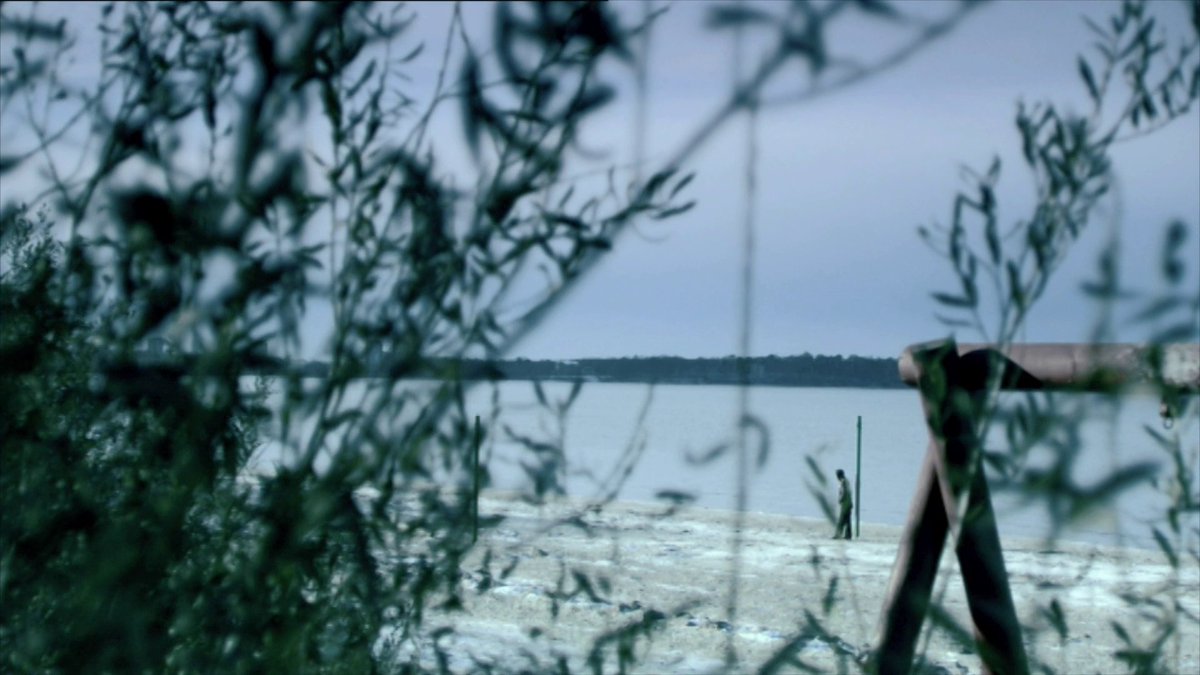 pacho drives tweet media