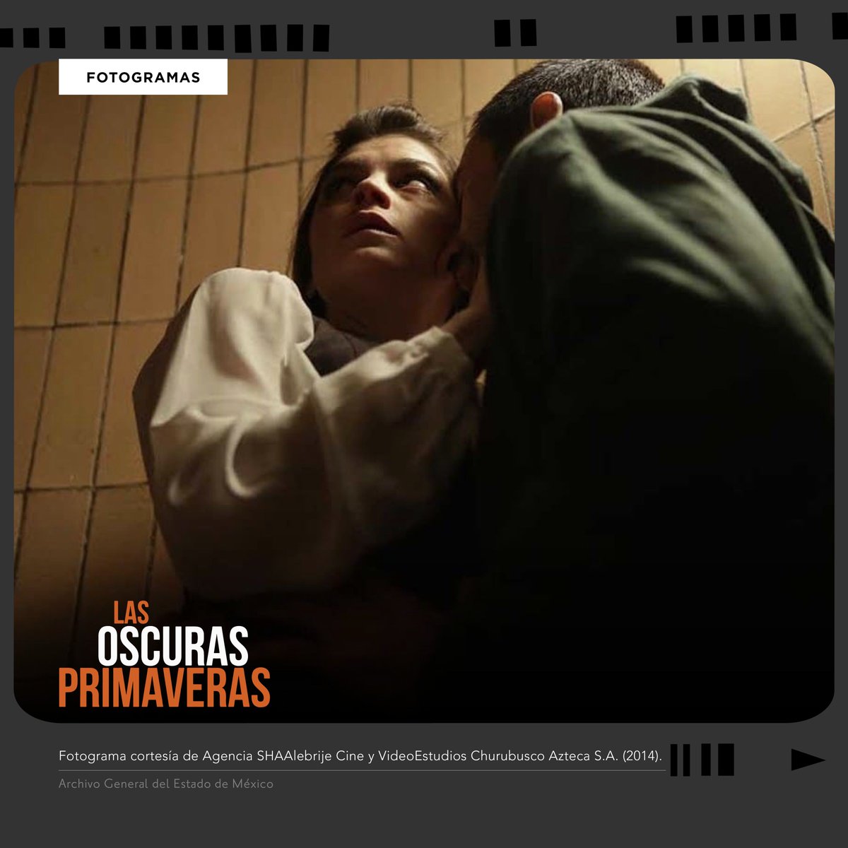 Archivo General del Estado de México tweet media