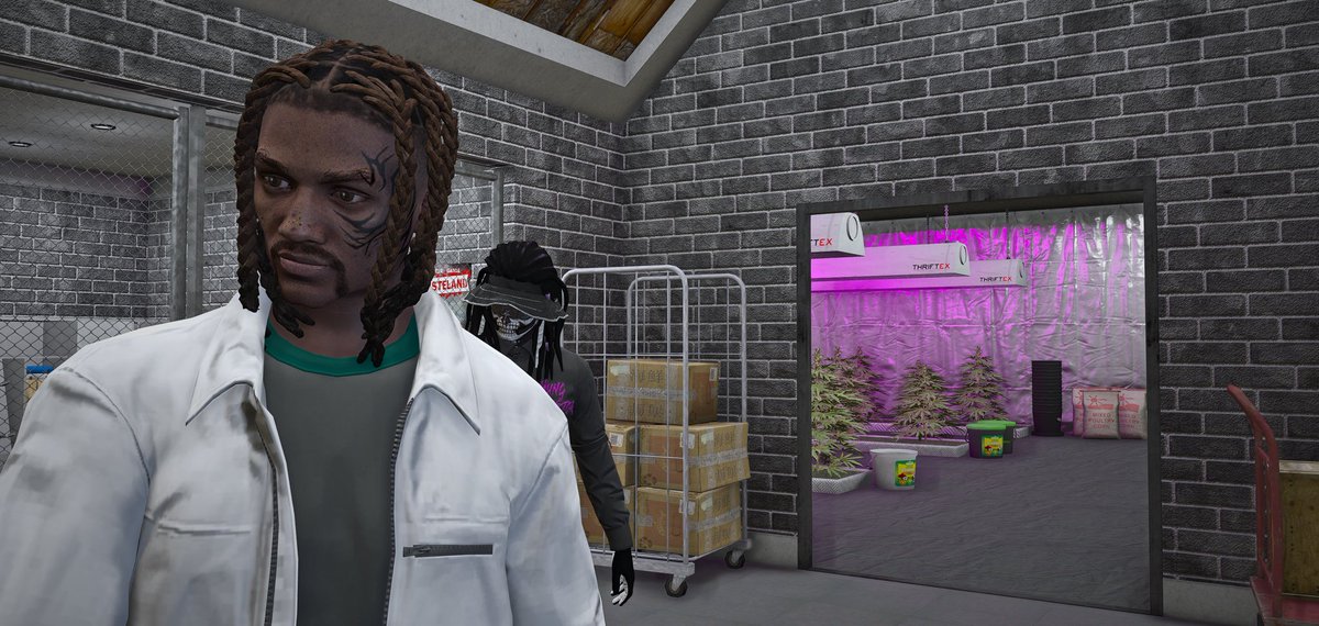 Fox Rex 🦊 ' tweet media