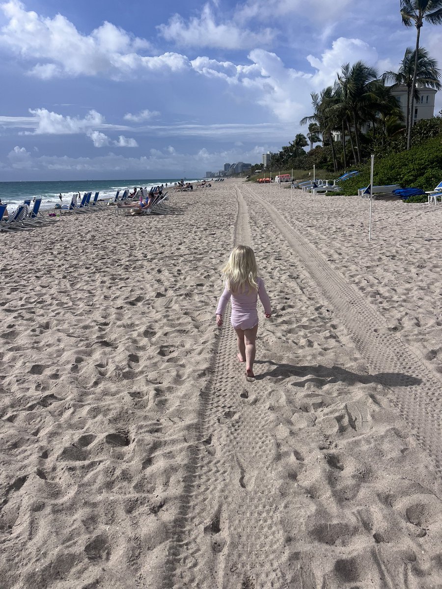 Lexie O'Connor tweet media