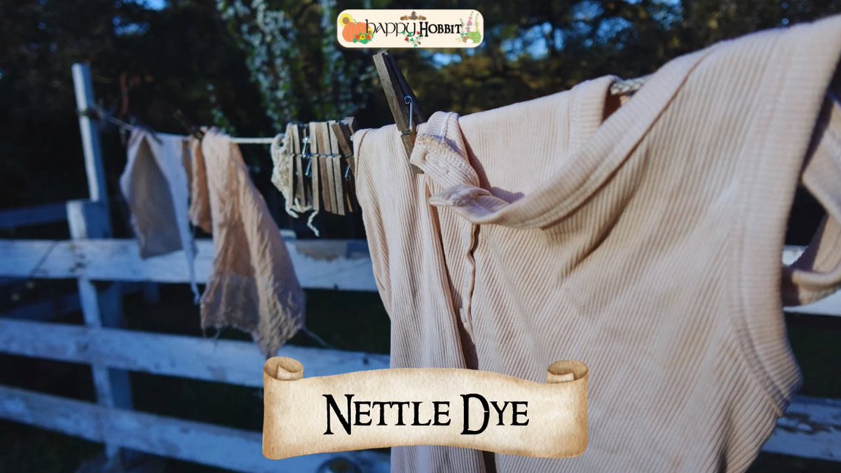 Kili & Fili tweet media