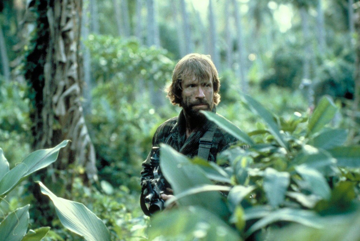 Remnants of the Past tweet media