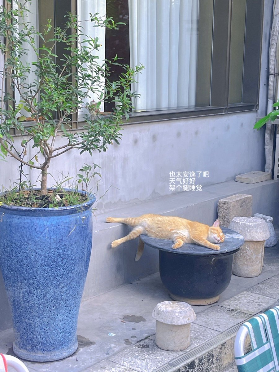 dania a.s tweet media