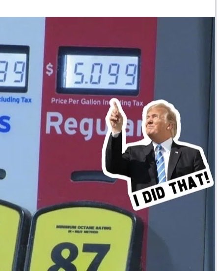 Harry Snapper Organs tweet media