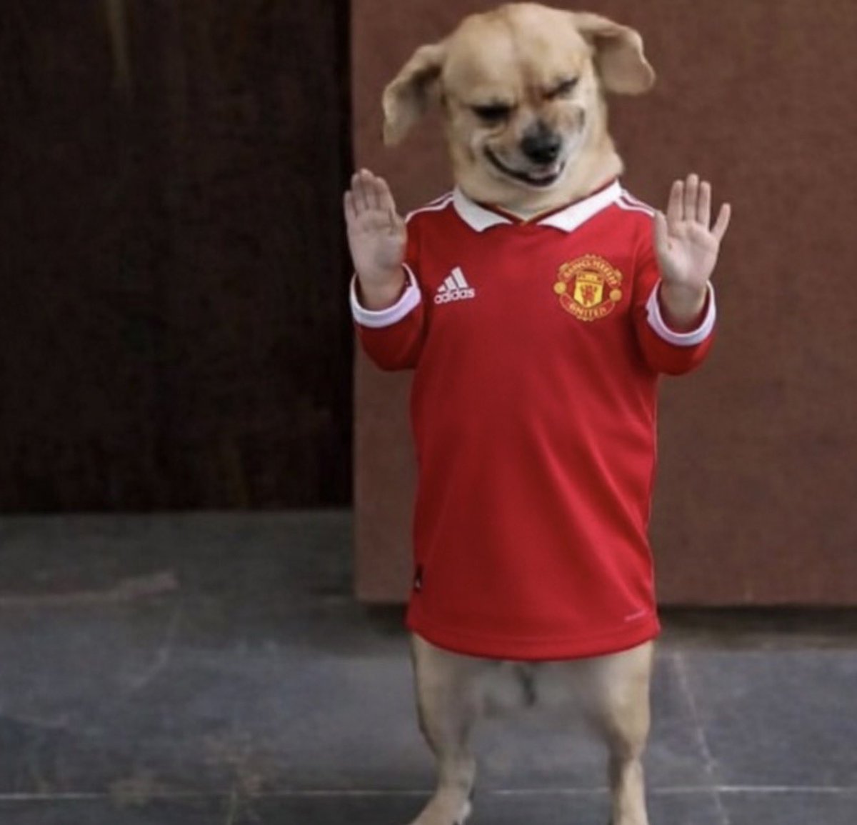 dee.ohh.tee 🏆🚀 tweet media