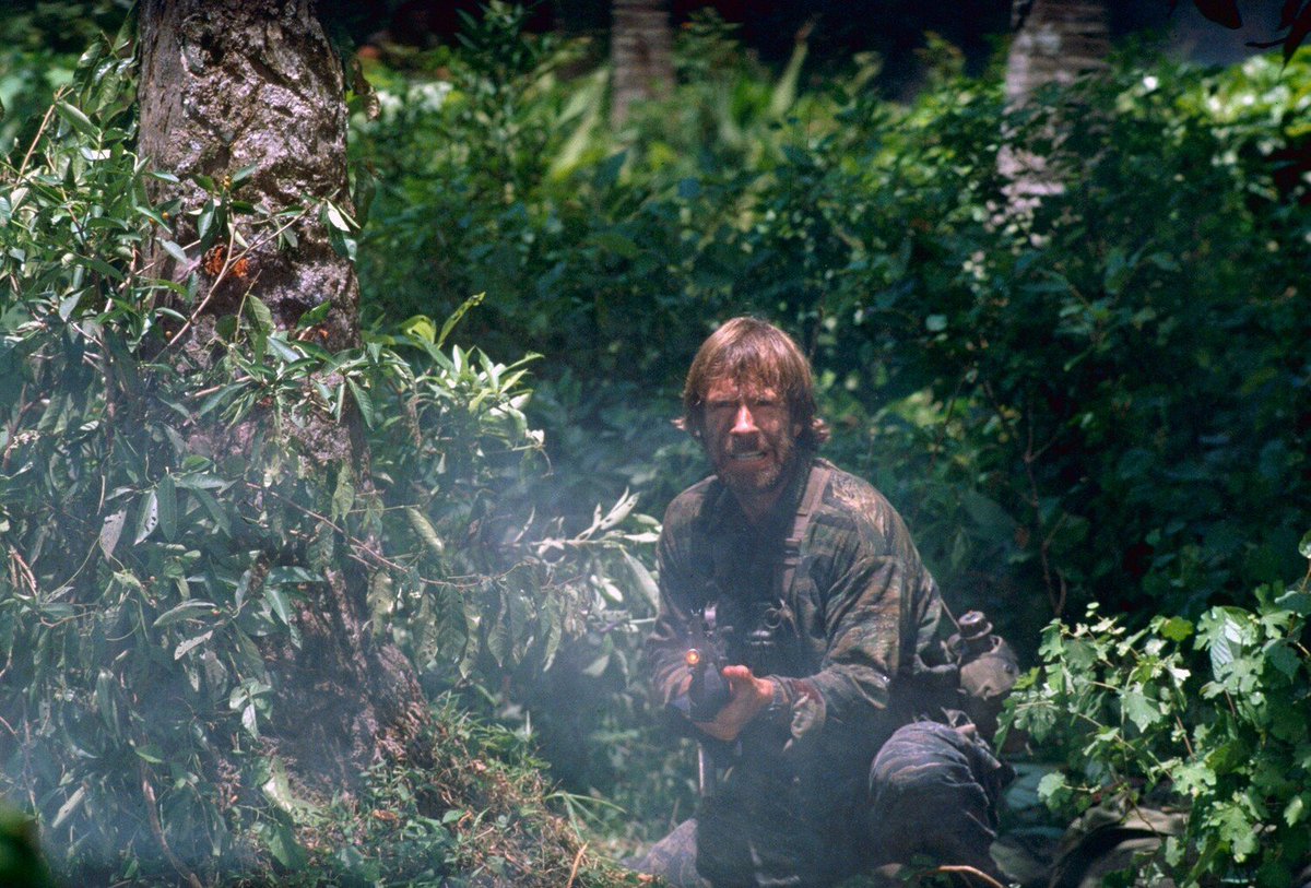 Remnants of the Past tweet media