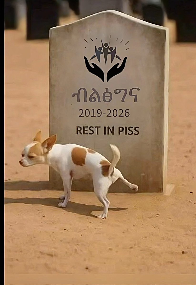 EriLion 💎 tweet media