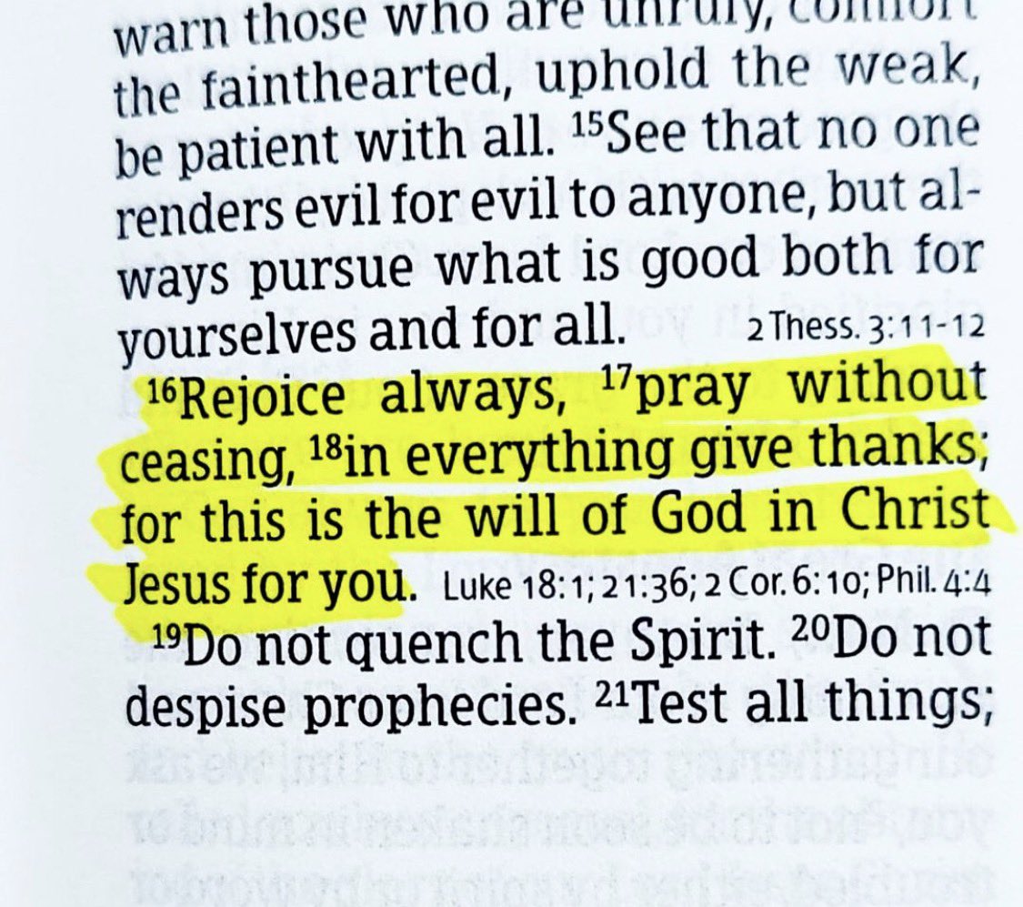 Chief Erican PhD tweet media