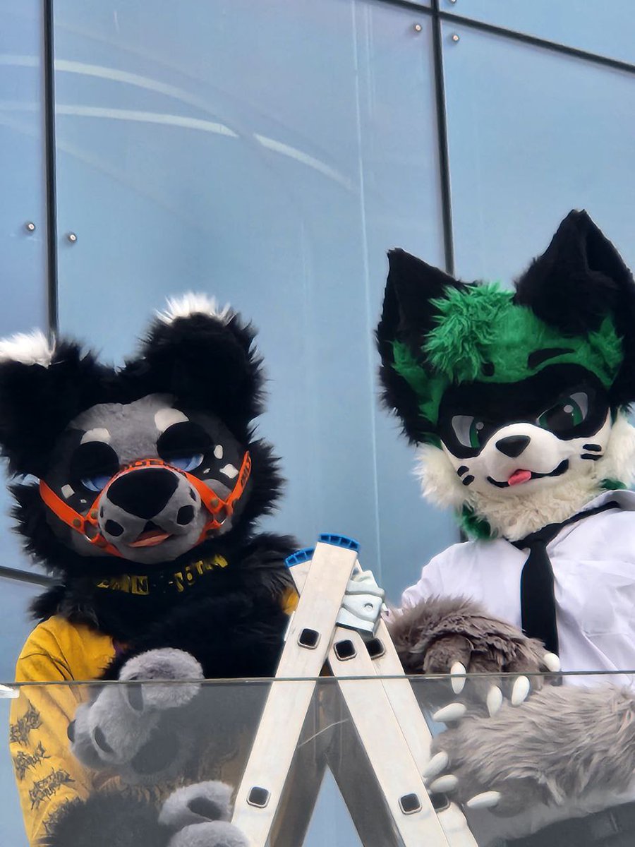 Dumb Dog ⚡Static⚡ tweet media