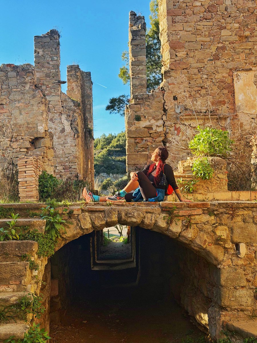 La venus de las pieles tweet media