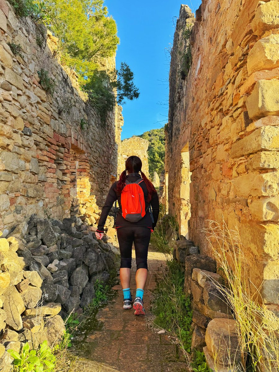 La venus de las pieles tweet media