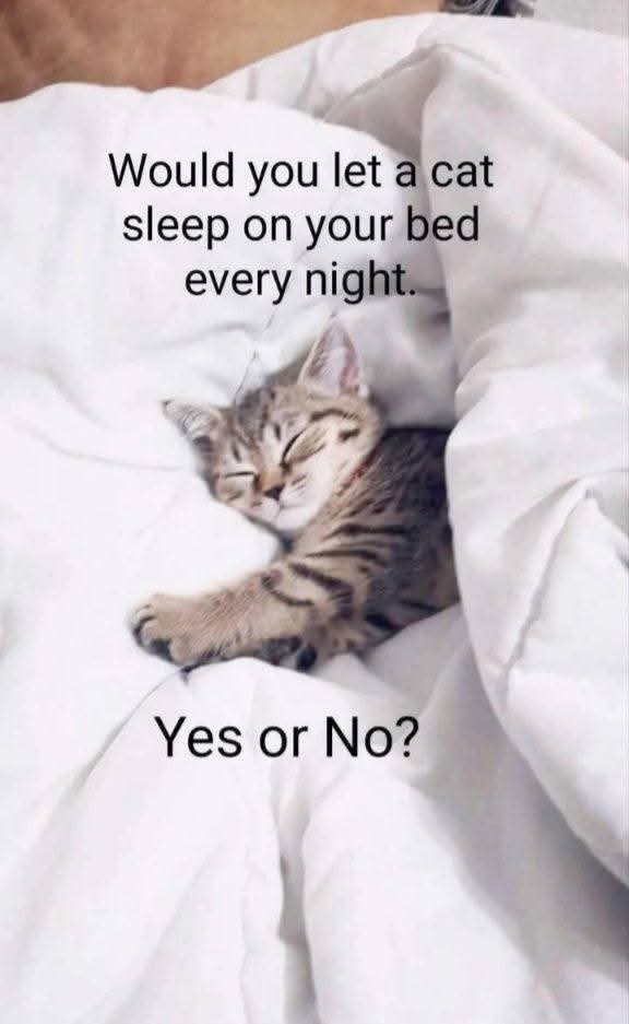 Nimra Shahzadi ❣️ tweet media