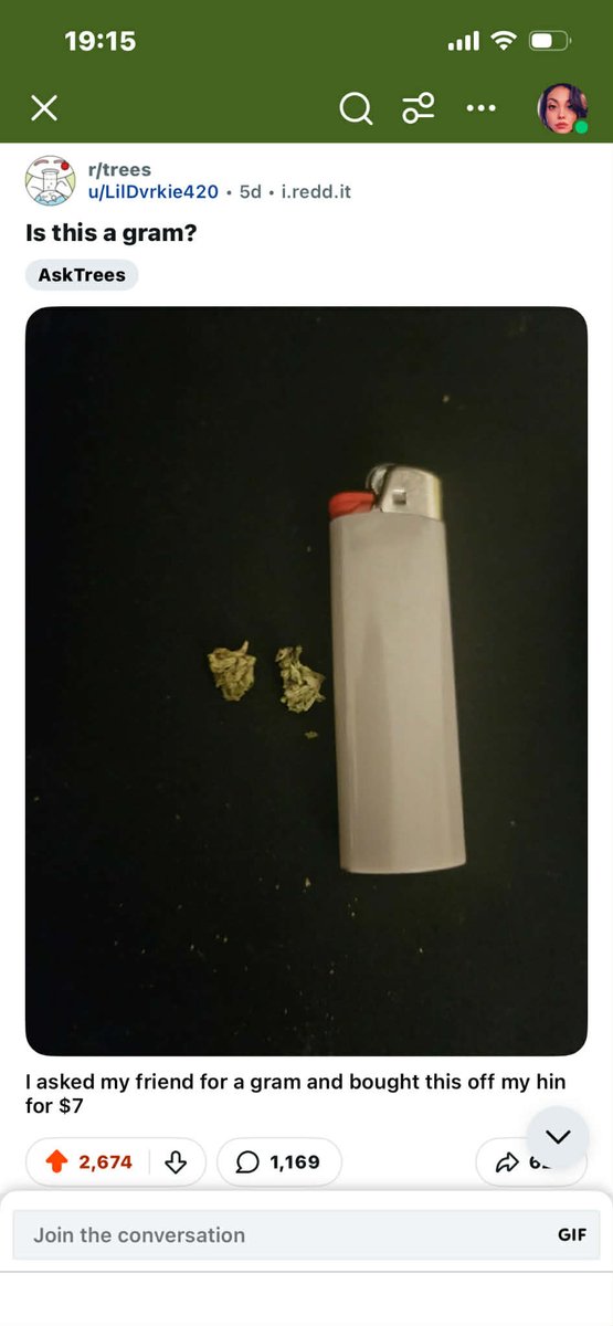 Bree Conklin tweet media