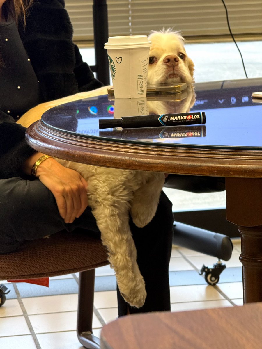 DevanLoweInc's tweet photo. Big news from this morning's meeting!
Our CPO (chief pup officer) 🐶 declared it's time to lower prices, and we're starting with unbeatable offers - $8,000 off MSRP on the 2026 GMC Sierra 2500HD Denali!  You'll also love saving an average of $750 with no dealer fees! https://t.co/T0qQlL9r2T
