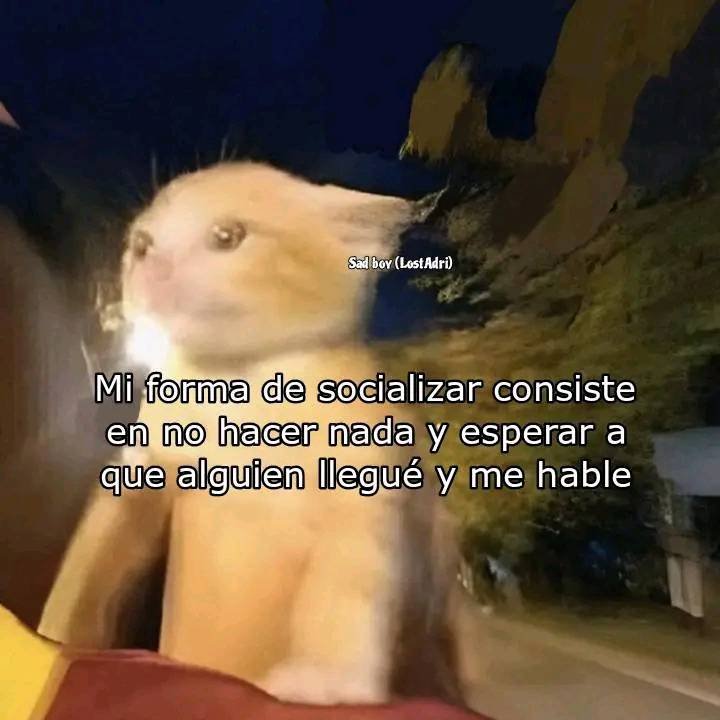 𓆩 luis 𓆪 tweet media