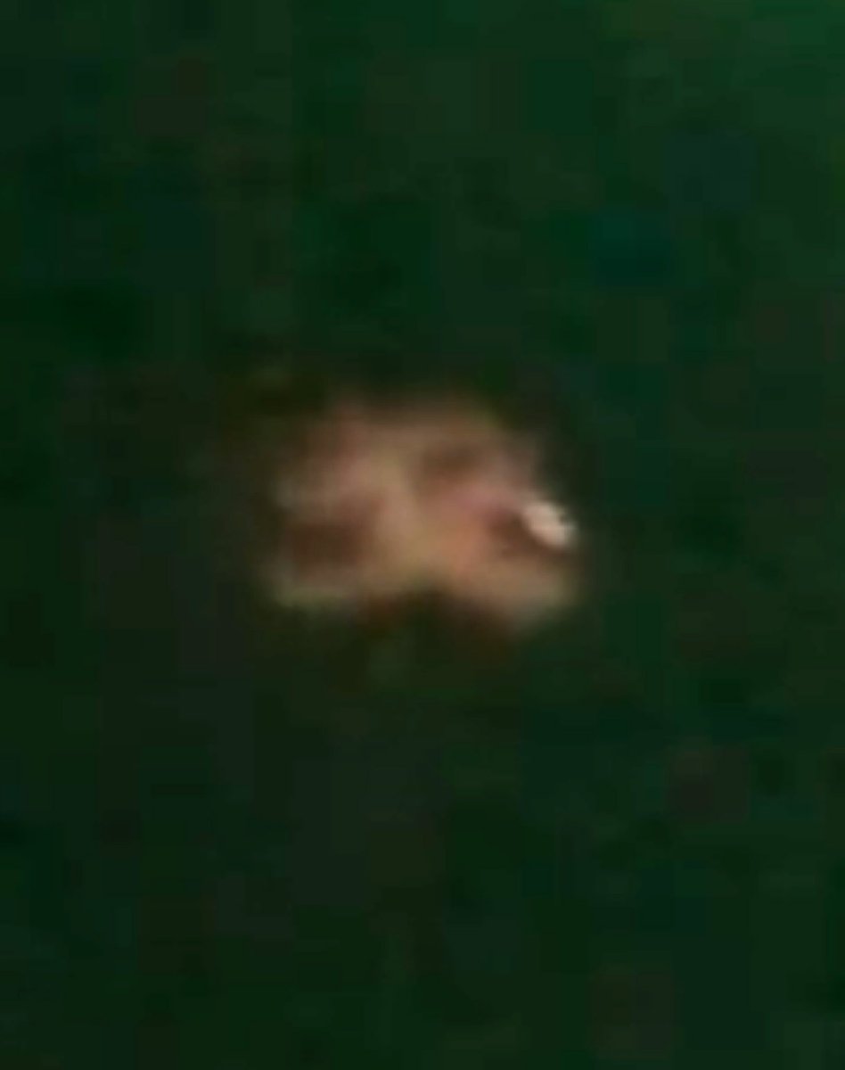 Information Machine tweet media