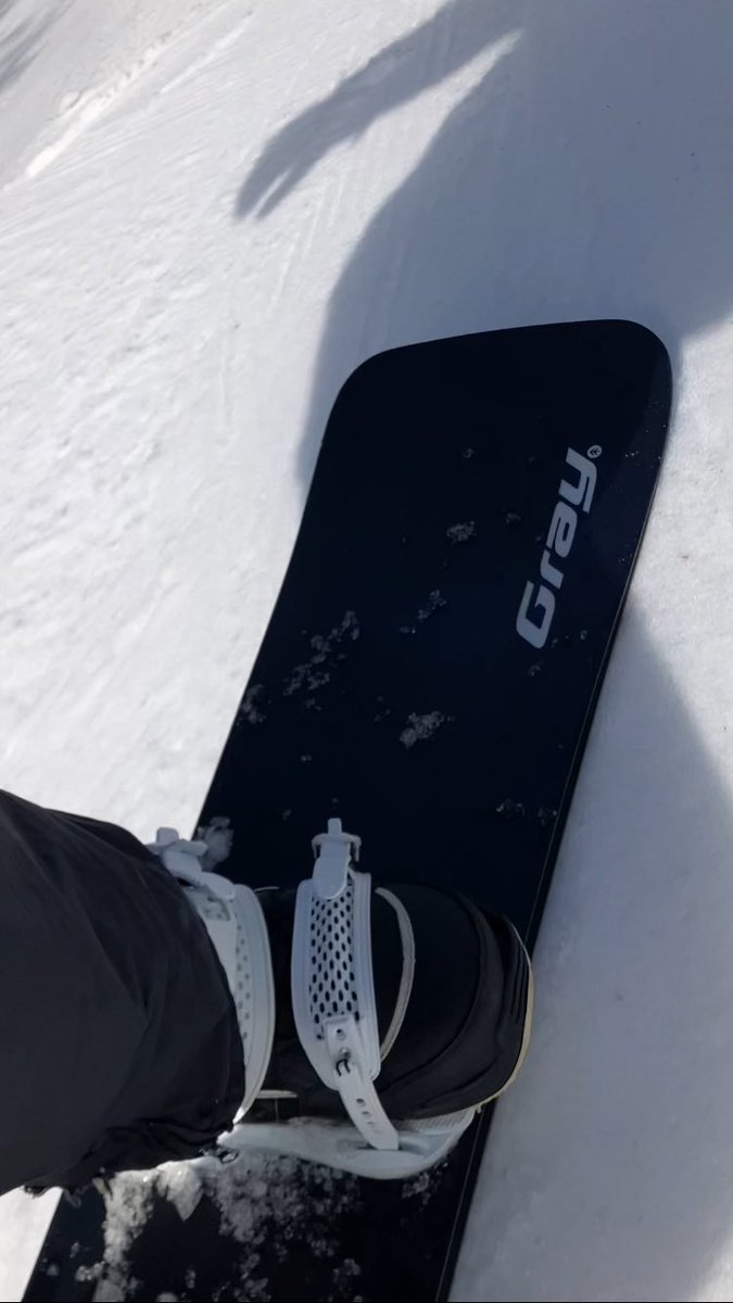 Blind Gray Squirrel 🏴☠️ tweet media