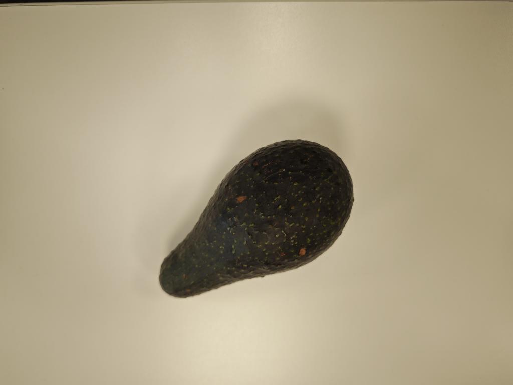 🐾Tumorro seré🐶 tweet media