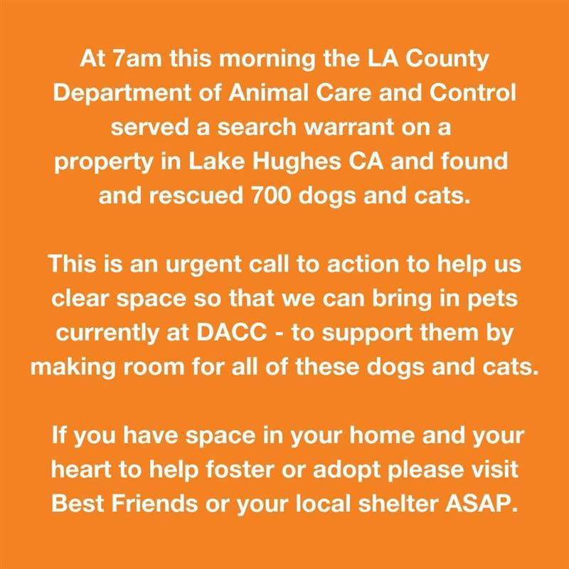 Happening NOW! Attention #LosAngeles community! 🚨

If you are able to assist, please see below:

-Adopt: Visit Best Friends LA at 1845 Pontius Ave. or bestfriends.org/la
-Foster: bestfriendsla.org/foster
-Find your local city or county animal shelter: bestfriends.org/how-you-can-he…