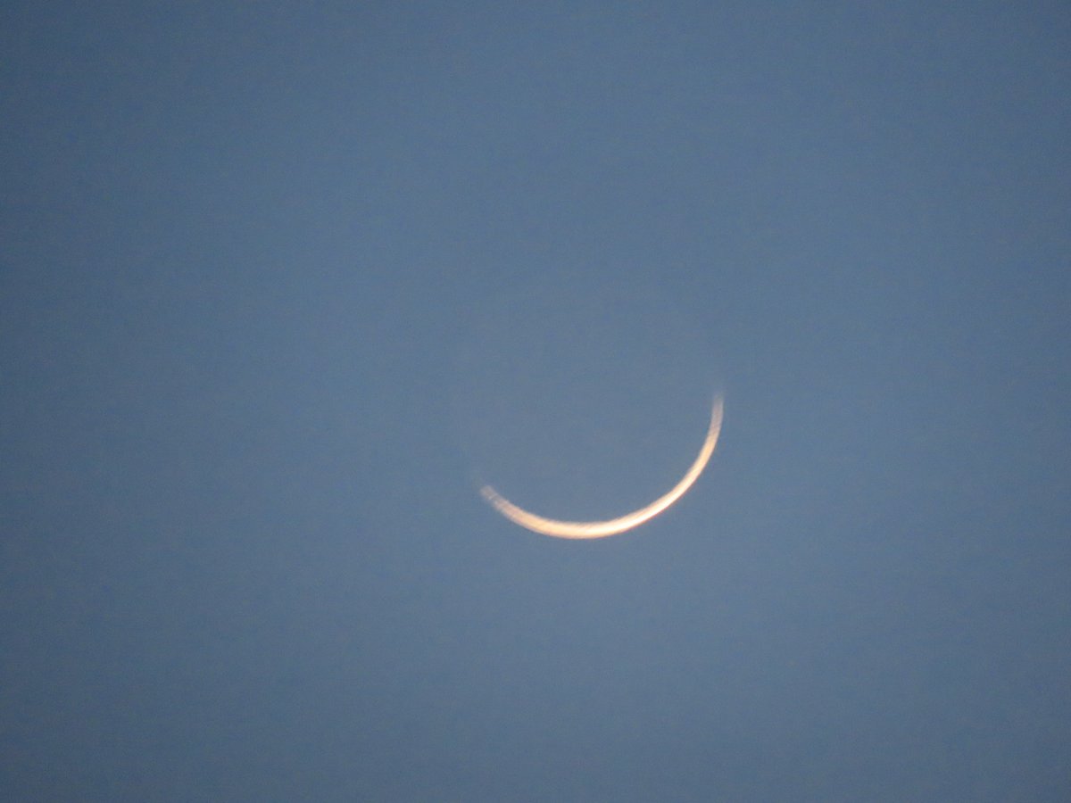 Tartan Astronaut for independence🏴󠁧󠁢󠁳󠁣󠁴󠁿 tweet media