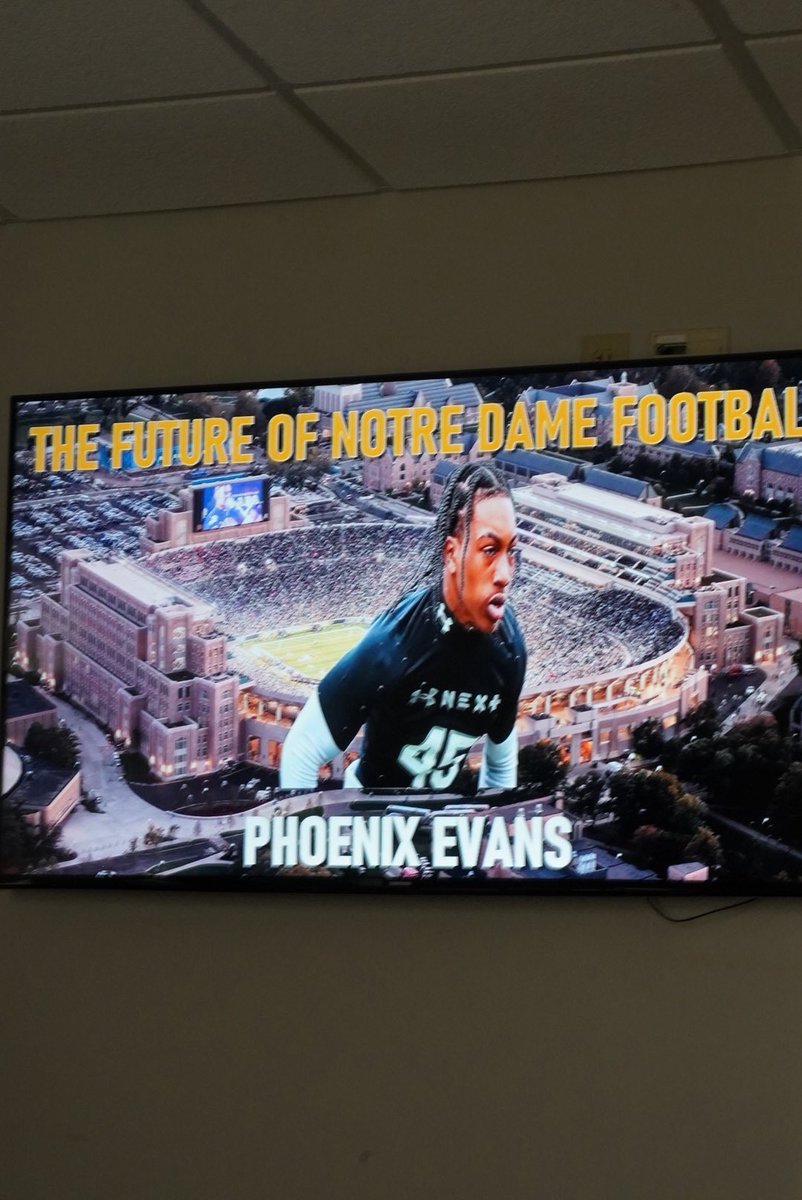 Phoenix Evans tweet media