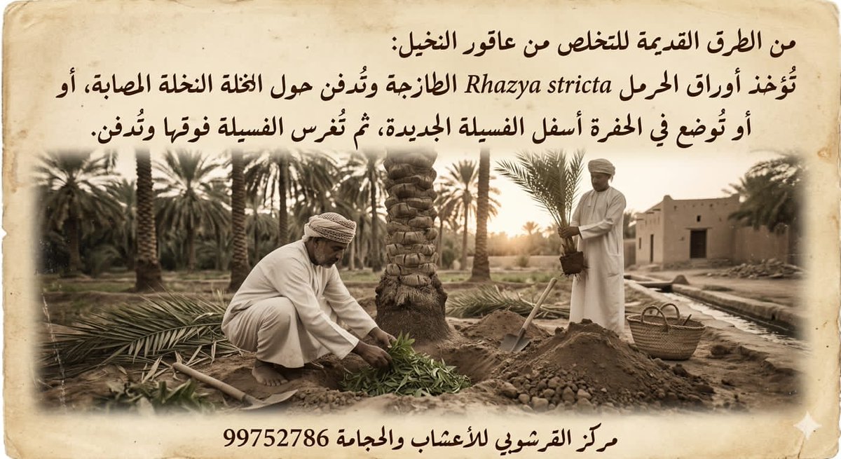 🇴🇲 يوسف القرشوبي tweet media