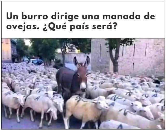 Marcela Quintero tweet media