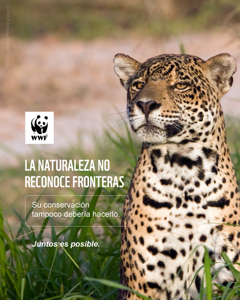 WWF-Paraguay tweet media
