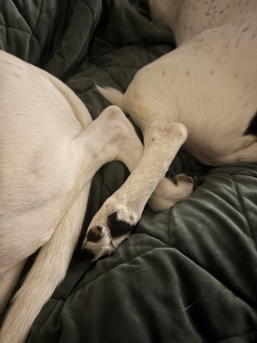 Stephanie Adkins tweet media