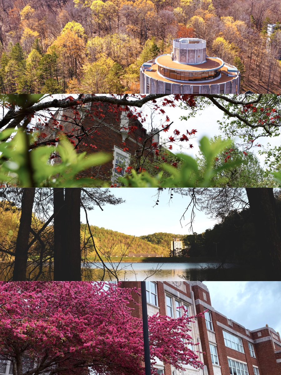 Morehead State tweet media