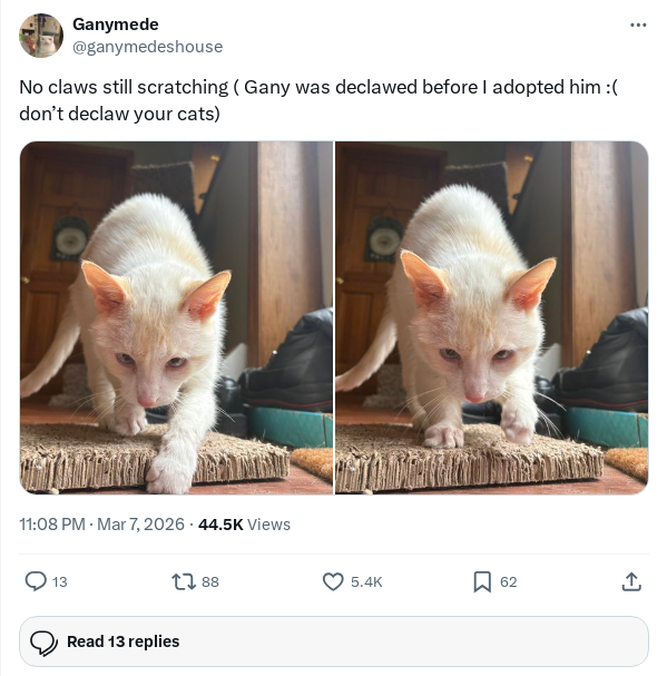 vka9888's tweet photo. $Gany

CA: BgtczEGgf9mZMcGBLi4J5Pn8PtmFy6Xz5uBKkMfspump

币安钱包：https://t.co/TeJO2uCxAt

叙事：$Gany 是一款备受关注的代币，拥有32万的社区支持。它的灵感源自2019年一组经典的猫咪照片，展现了猫咪好奇地探头进空伏特加瓶的趣味瞬间。

Always DYOR https://t.co/p9YsAXR9PD