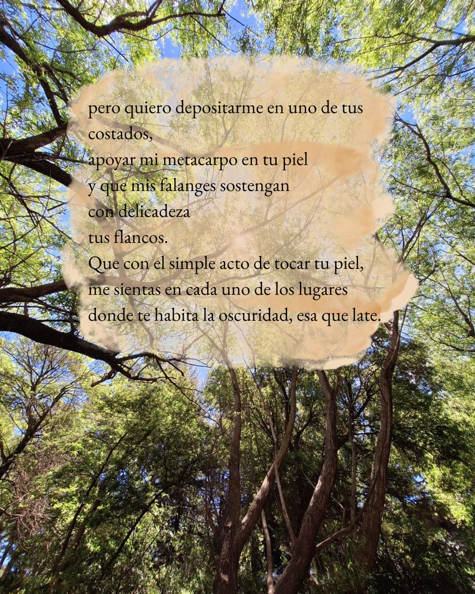 AlmaCalculadora's tweet photo. Y ahora un poema para mis lesbianas 🌈 https://t.co/y1eM1oXYaK