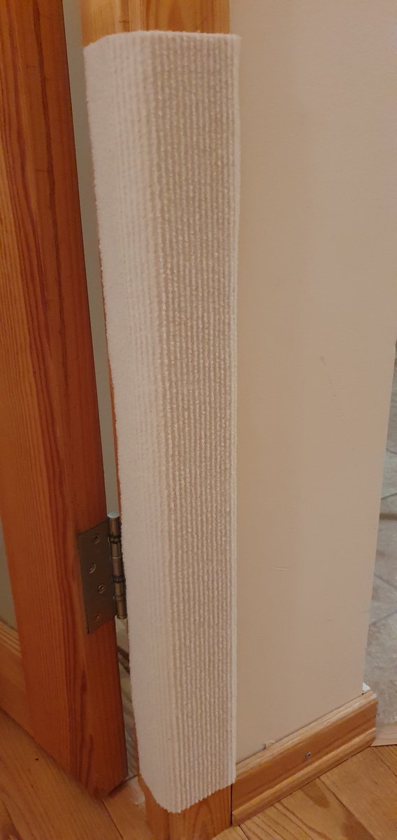 Te_o_dora tweet media