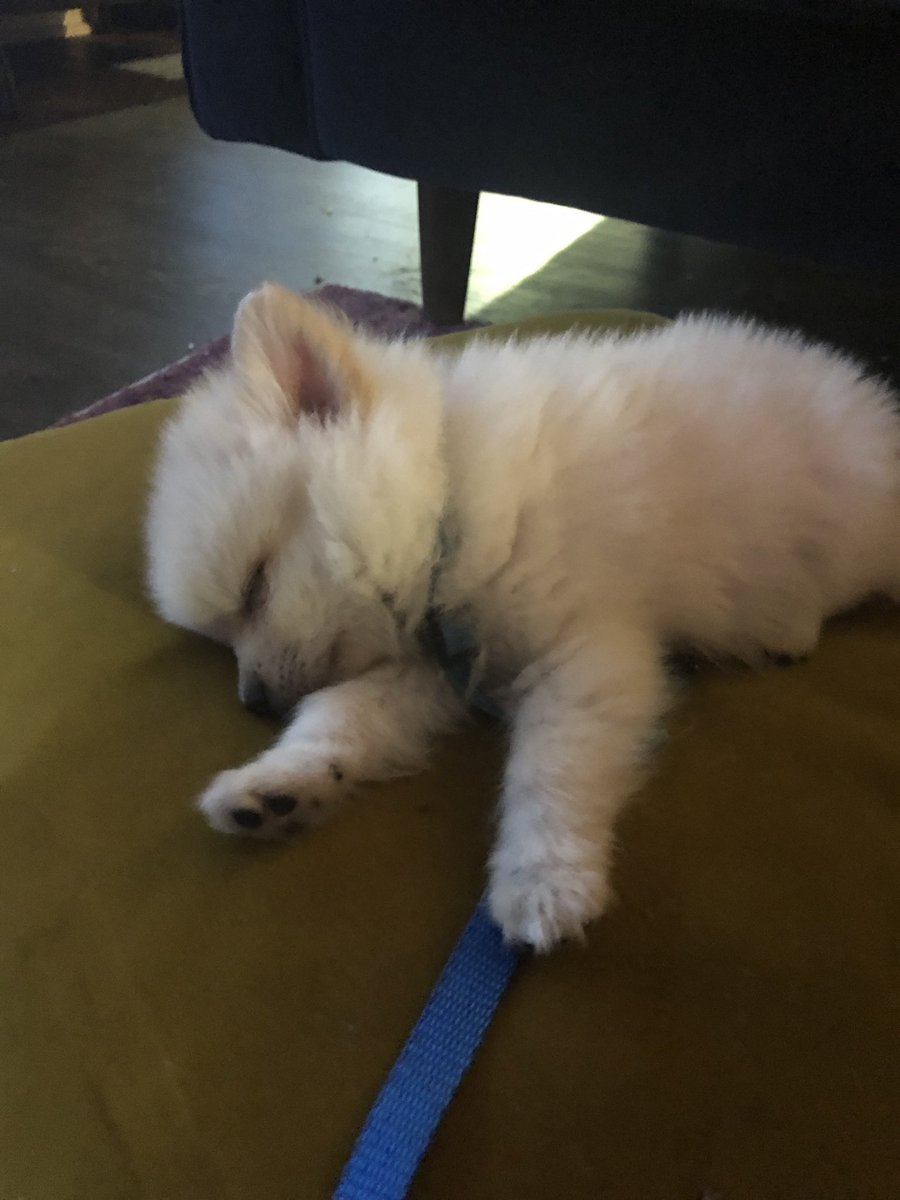 Angela Bassett’s Oscar tweet media