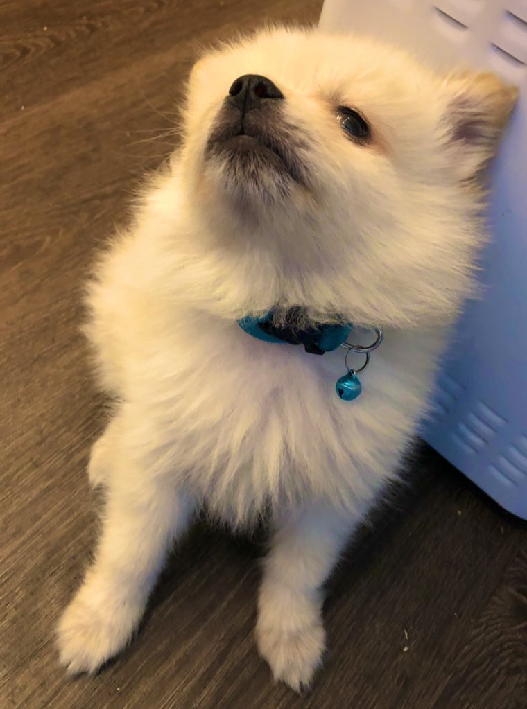 Angela Bassett’s Oscar tweet media