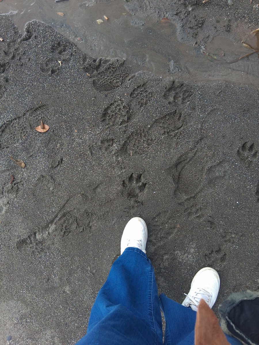 nani !! 🌻 tweet media