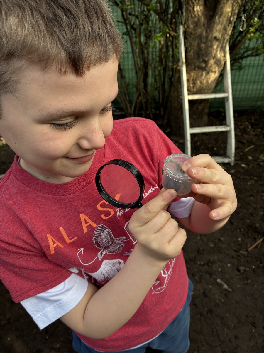 High View Primary School tweet media