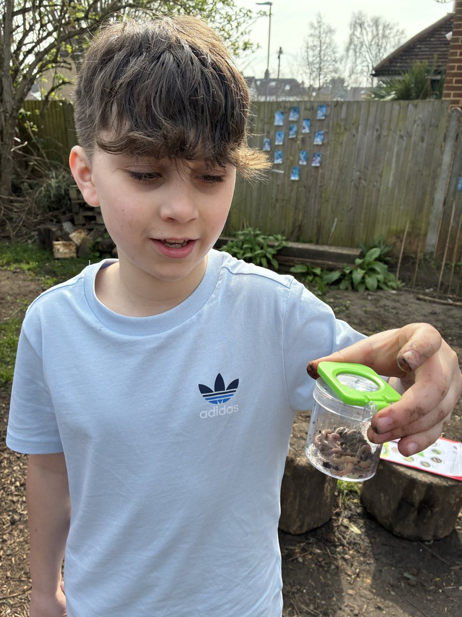 High View Primary School tweet media