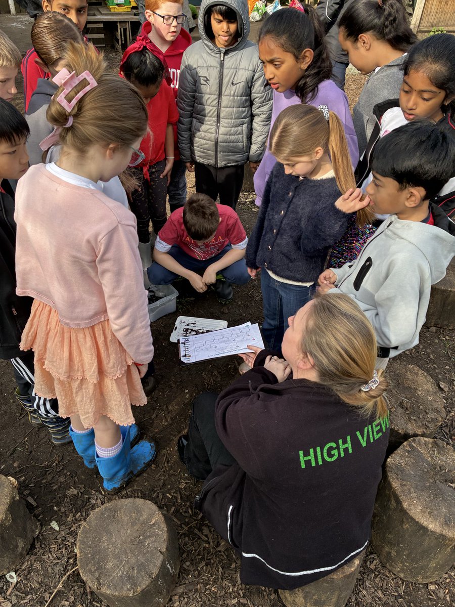 High View Primary School tweet media