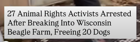 AntiChasse ⒶⓁⒻ tweet media