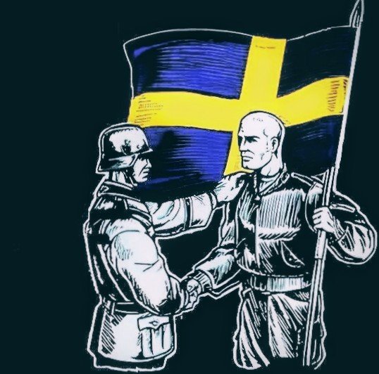 Fenrir 🇸🇪 tweet media