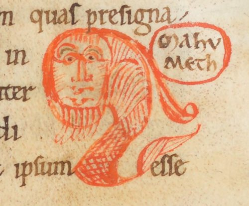 Max 📟 tweet media